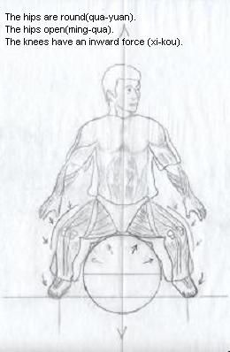 Body Mechanics and Structure
