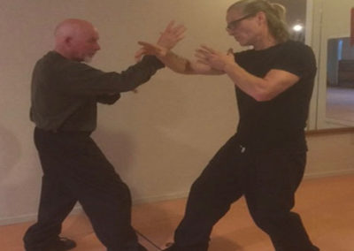 Six Harmony Praying Mantis